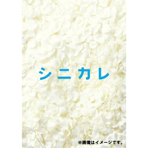 BD / 国内オリジナルV / シニカレ完全版 ブルーレイBOX(Blu-ray) (本編ディスク3枚+特典ディスク1枚) / AVXF-62347|on HOME-オンホーム-