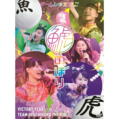 DVD / チームしゃちほこ / 鯱のぼり at 幕張メッセイベントホール (完全初回生産限定版) / WPZL-90122