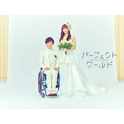 BD / 国内TVドラマ / パーフェクトワールド Blu-ray BOX(Blu-ray) (本編Blu-ray3枚+特典DVD2枚) / PCXE-60176