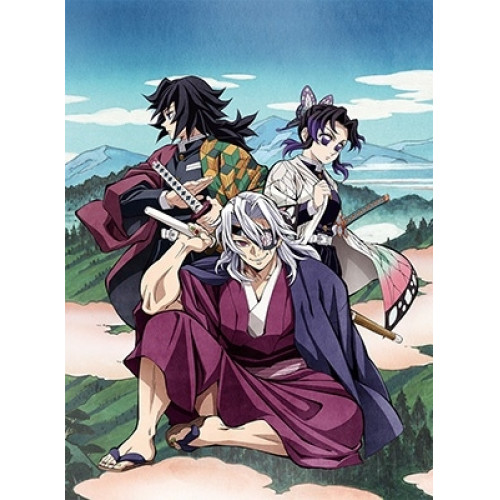 DVD / TVアニメ / 鬼滅の刃 柱稽古編 第二巻 (DVD+CD) (蛇腹) (完全生産限定版) / ANZB-17703