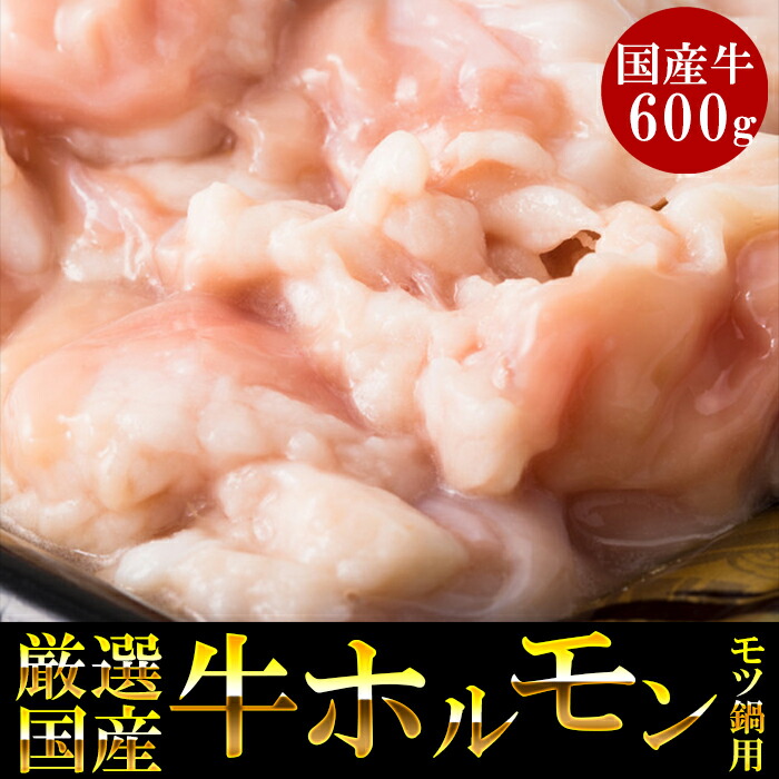 市場 600g もつ鍋用 お取り寄せグルメ ホルモン 小分け 小腸ホルモン 内祝い 冷凍 焼肉用 国産牛ホルモン