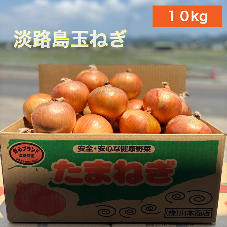 玉ねぎ 20kg」の人気商品一覧 | 安い商品を通販サイトから探す - ⚫️訳