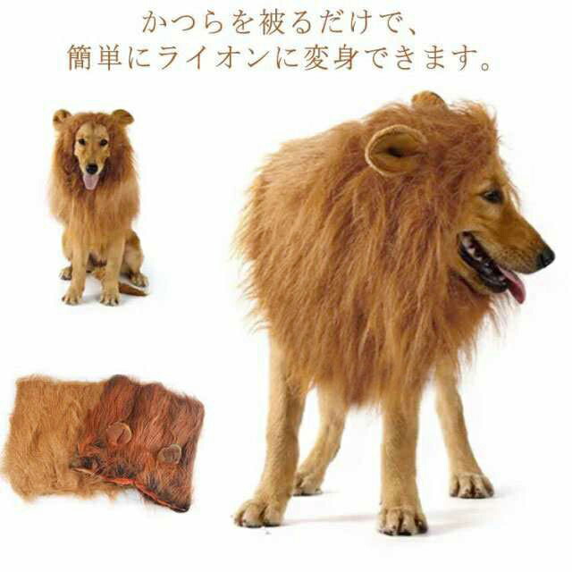 楽天市場】犬 ライオン 獅子 仮装 ウィッグ カツラ かぶりもの 犬服