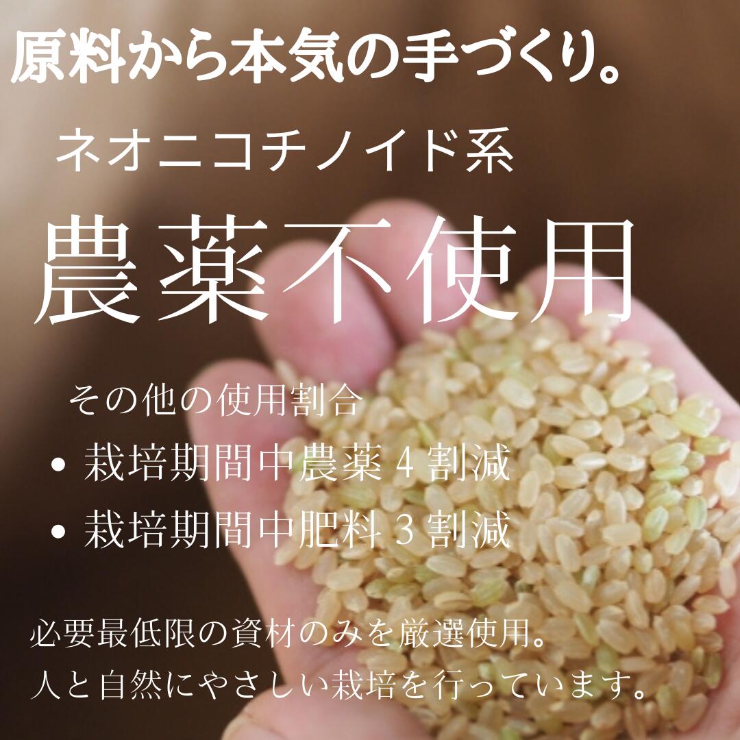 市場 令和4年産 もち玄米 減農薬 三重県産 農家直送 10kg 餅米 5kg×2袋 精米 新米予約 玄米 かぐらもち もち精米 もち米 送料無料