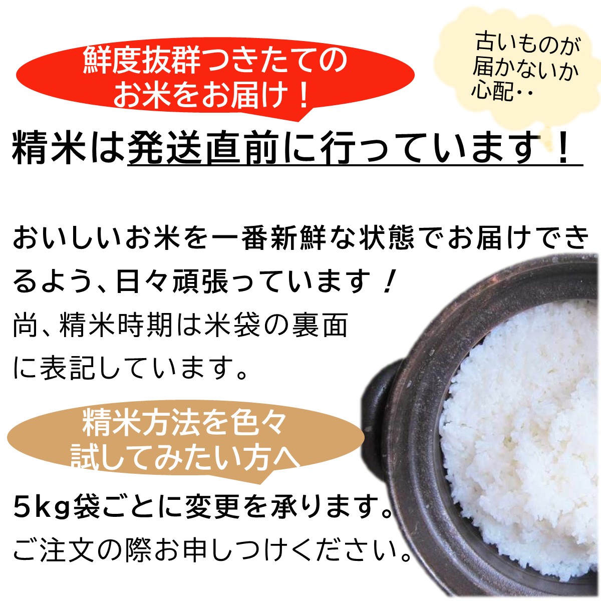 SALE／83%OFF】 令和４年産 い～ね ミルキークイーン30kg 精米後27kg