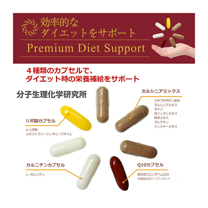 在庫限り ワカサプリ プレミアムダイエットサポート 30包 約1ヵ月分 分子生理化学研究所 公式 Mastercamps Com Ar