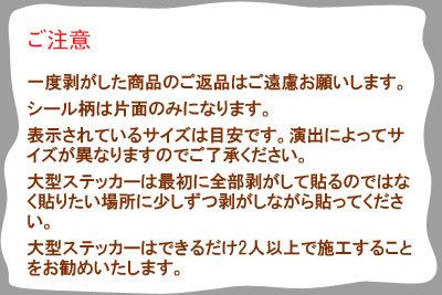 送料無料 壁掛け 姿見 ウォールステッカー レディーズ 全身 立体 飛散