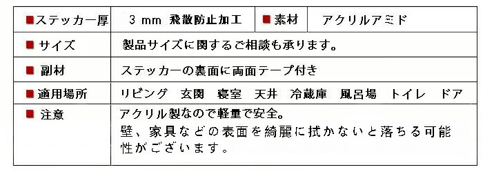 送料無料 壁掛け 姿見 ウォールステッカー レディーズ 全身 立体 飛散