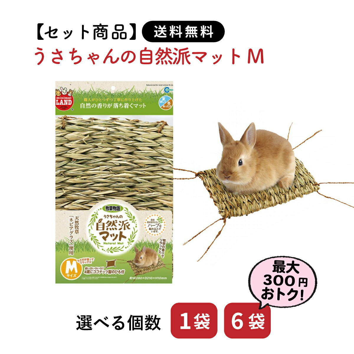 三晃商会 うさちゃん広々基本飼育セット うさぎ 飼育セット