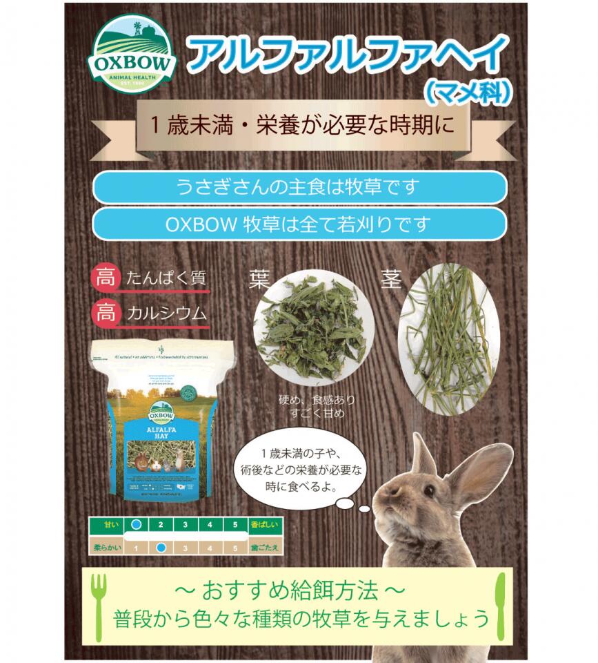 アルファルファヘイ 425g 6袋 Oxbow オックスボウ オクスボウ 牧草 マメ科の牧草 仔うさぎ うさぎの赤ちゃん うさぎ ミニウサギ ネザーランドドワーフ ホーランドロップ ロップイヤー うさぎ全般 大容量 Clinicalaspalmeras Com