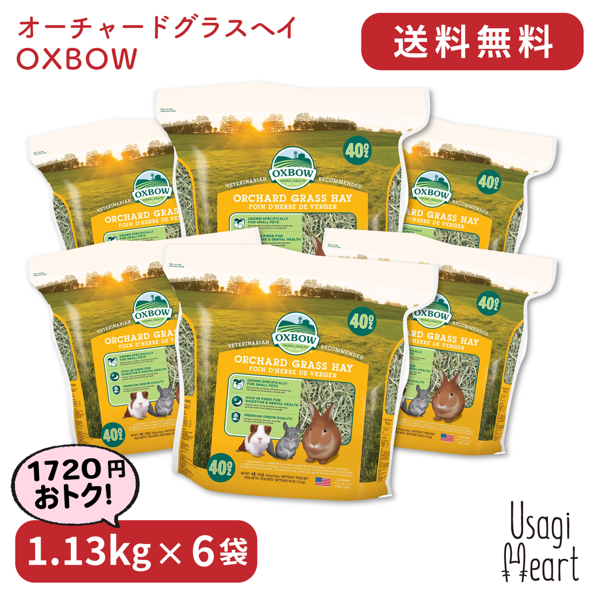 交換無料 「P2倍対象」 オーチャードグラスヘイ 1.13kg×6袋 OXBOW オックスボウ オクスボウ チモシー 牧草 イネ科の牧草 うさぎ  ミニウサギ ネザーランドドワーフ ホーランドロップ ロップイヤー うさぎ全般 うさぎ用品 ウサギ 2021年新作-css.edu.om