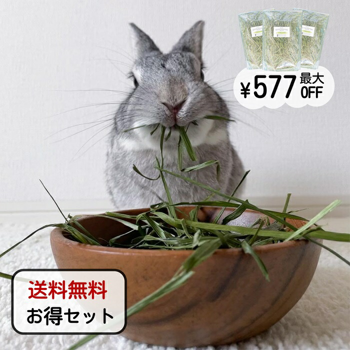 楽天市場】オーツヘイ うさぎさんの頬張る緑の乾燥オーツヘイ 楽天市場】オーツヘイ うさぎさんの頬張る緑の乾燥オーツヘイ