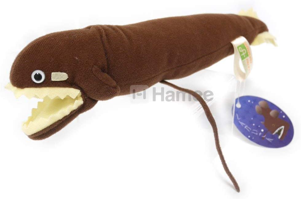 ぬいぐるみ Samaa しんかいさん ダルマザメ ぬいぐるみ 7687 ティーエスティー