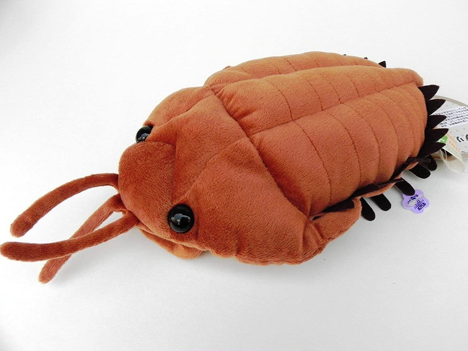 楽天市場】古代生物シリーズ エデスタス ぬいぐるみ 6418