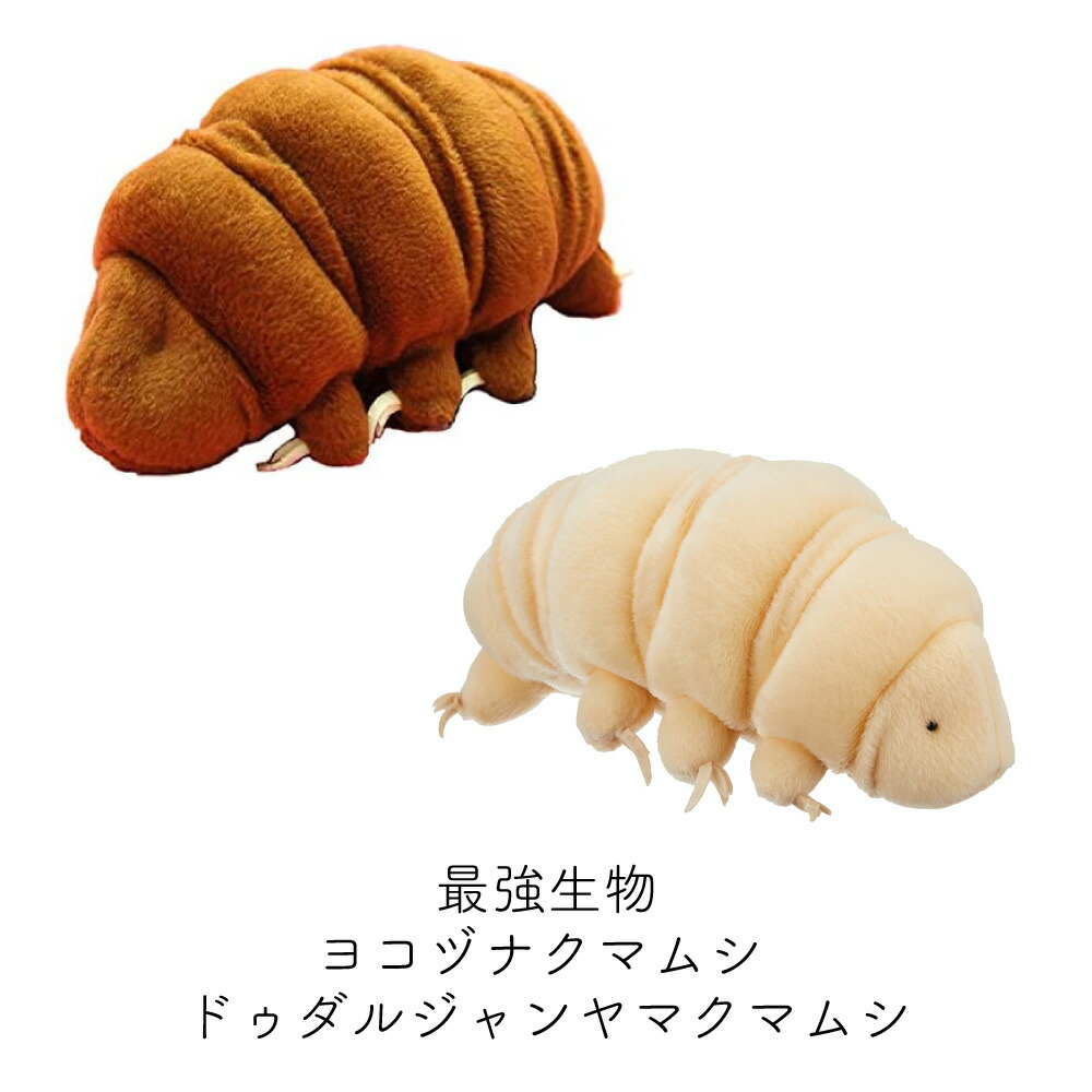 最終価格 PPDA ソフビ　熊虫 クマムシ(Water Bear) One up. 秋葉原 ソフビ / 中野ブロードウェイ 玩具 on X