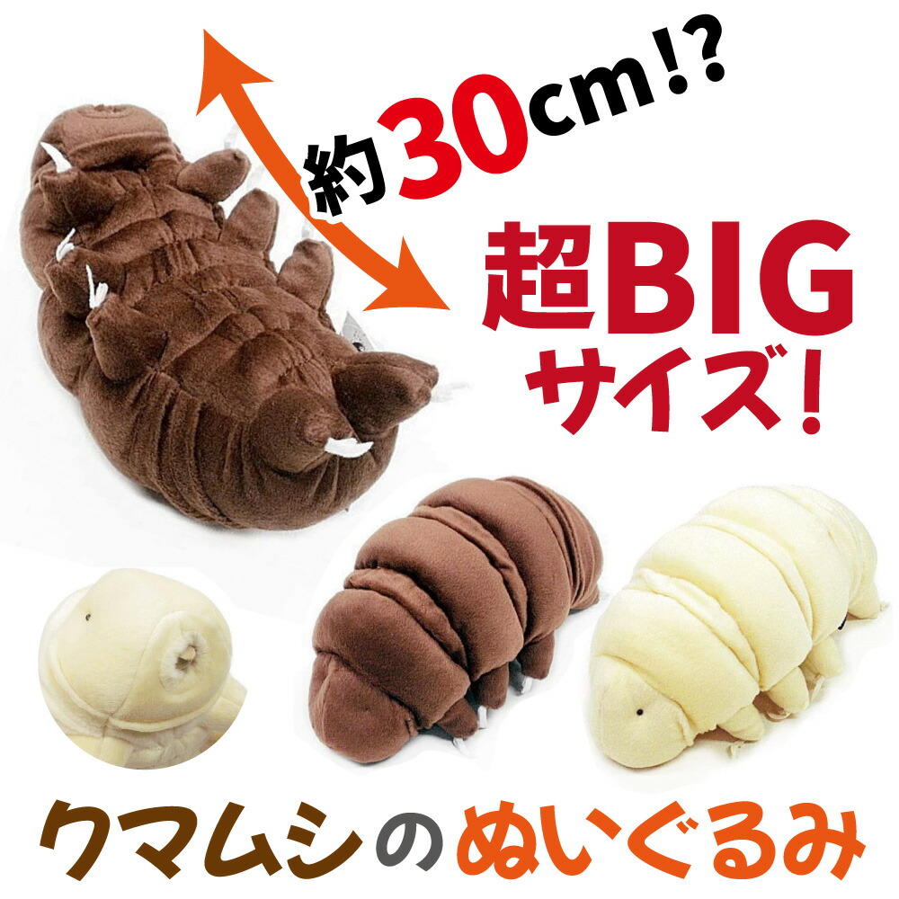Fiesta 社　フィエスタ　ぬいぐるみ　人魚　30センチサイズ Amazon.co.jp: サンエックス センチメンタルサーカス スーパーも