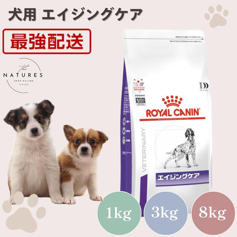 希少稀な 楽天市場】【病院認証不要 在庫限り】ロイヤルカナン 猫 キャットフード