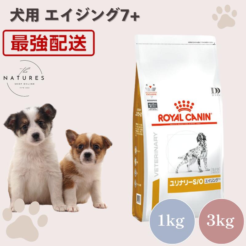 1点限り　 CANIN 腎臓サポート 犬用　3kg 楽天市場】犬用 腎臓サポート 小型犬用S 3kg【ロイヤルカナン