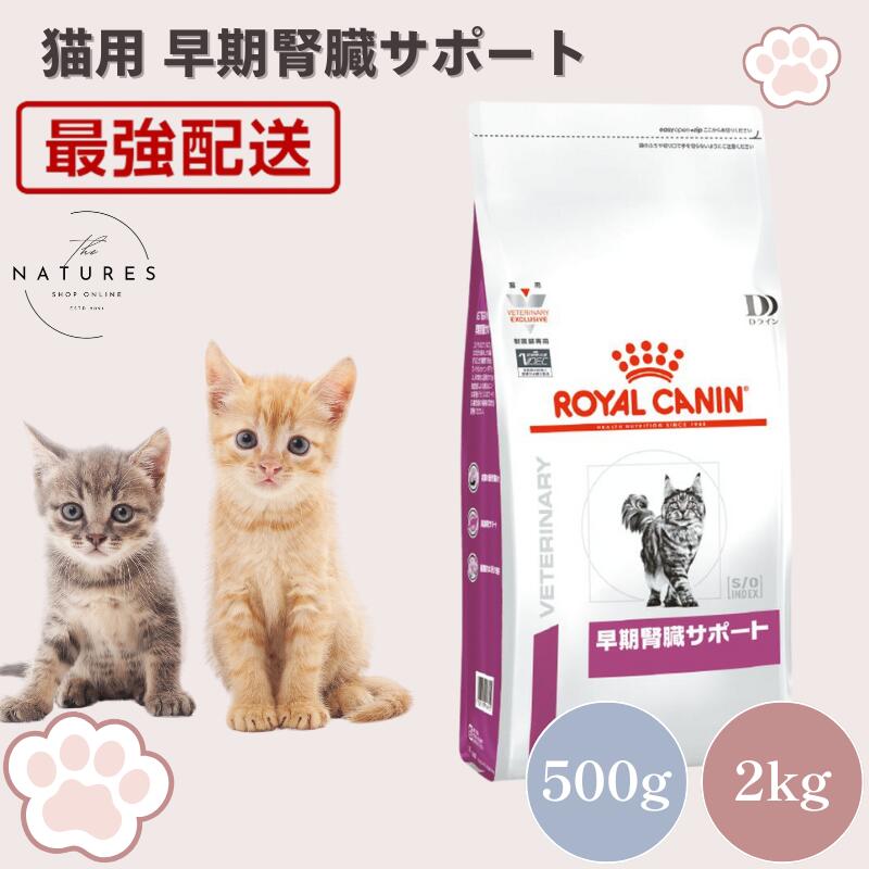 楽天市場】【病院認証不要 在庫限り】ロイヤルカナン 猫