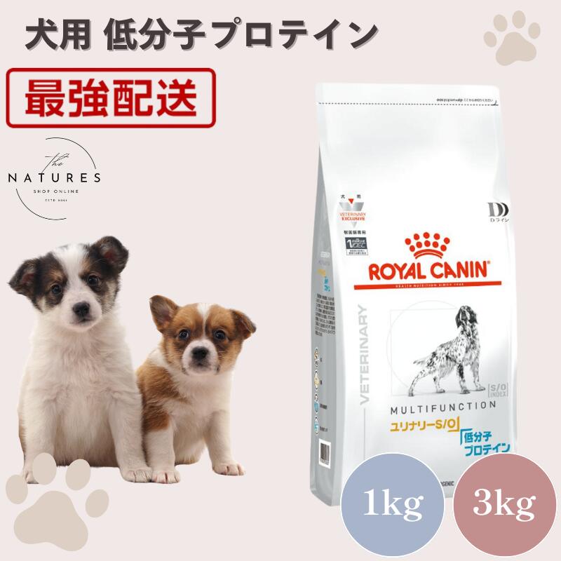 楽天市場】【病院認証不要 在庫限り】ロイヤルカナン 犬 低分子