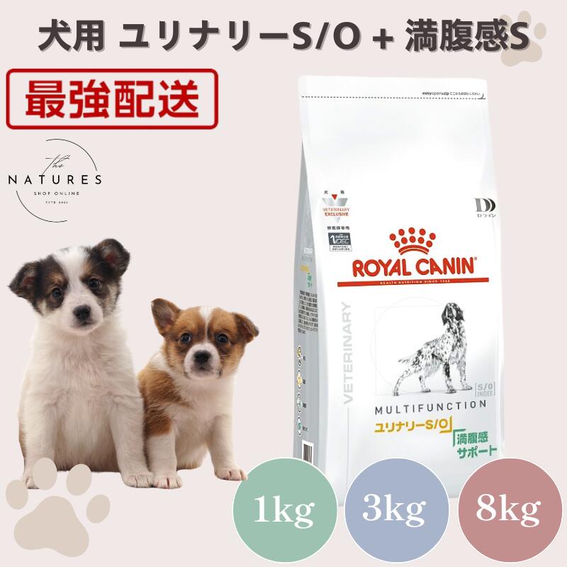 ロイヤルカナン 犬用 ユリナリーS/O＋低分子プロテイン [ドライフード3kg] ユリナリーS/O＋低分子プロテイン（犬用 ドライ） | Royal Canin JP