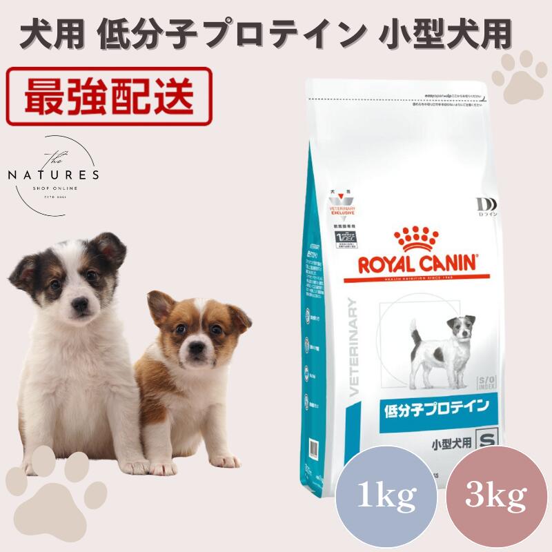 楽天市場】【病院認証不要 在庫限り】ロイヤルカナン 犬 アミノ