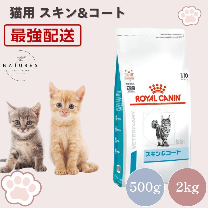 楽天市場】【病院認証不要 在庫限り】ロイヤルカナン 猫 アミノ