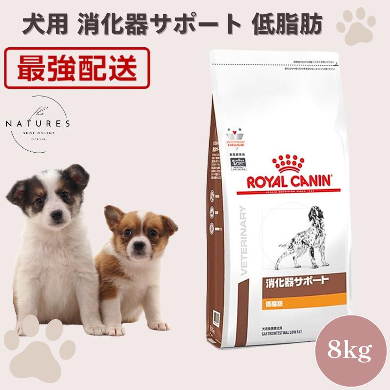 【ホスピタル公証不必要 店卸し資産区分け】 ロイヤル聖地 犬 治療法食 消化器受け支える 低あぶら身 素っ気ない 8kg