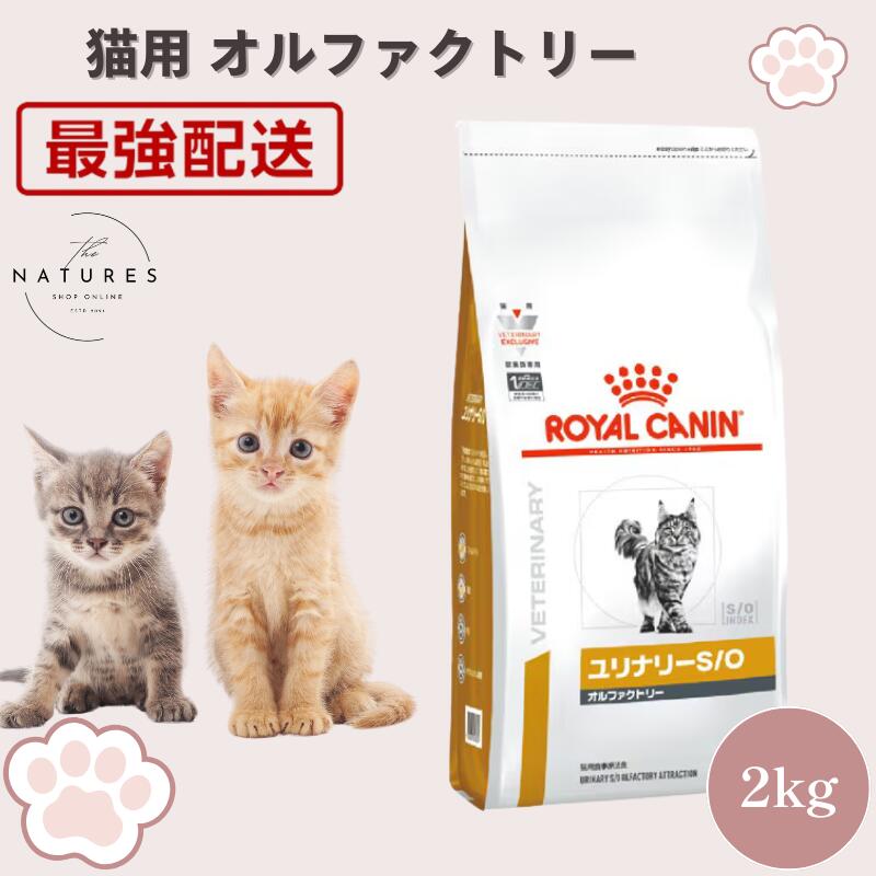 病院認証不要 在庫限り】ロイヤルカナン 猫 pHコントロール +