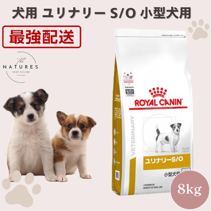 【ホスピタル公許不必要 店卸し資産境界線】 ロイヤル聖地 犬 ユリナリー S/O 小型犬用 S 8kg