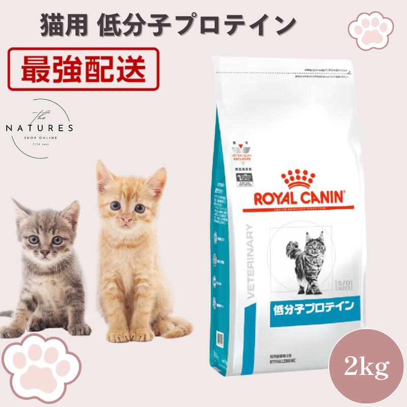 【ホスピタル公許不必要 店卸し資産境界線】 ロイヤル聖地 猫 低分子タンパク質 素っ気ない 2kg