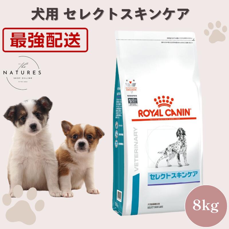 楽天市場】【ロイヤルカナン】 犬用 スキンケア小型犬用S 8kg [療法食