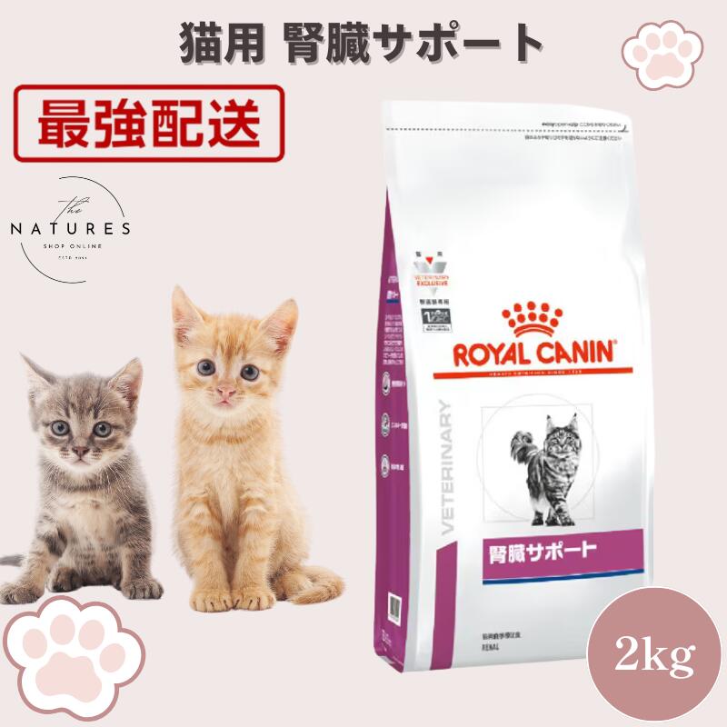 【ホスピタル公許不必要 店卸し資産境界線】 ロイヤル聖地 猫 腎の臓受け支える 素っ気ない 2kg