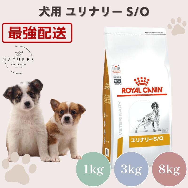 26.09ロイヤルカナン 犬 ユリナリーS/O 低分子プロテイン 3kg imgrc0115807517.jpg