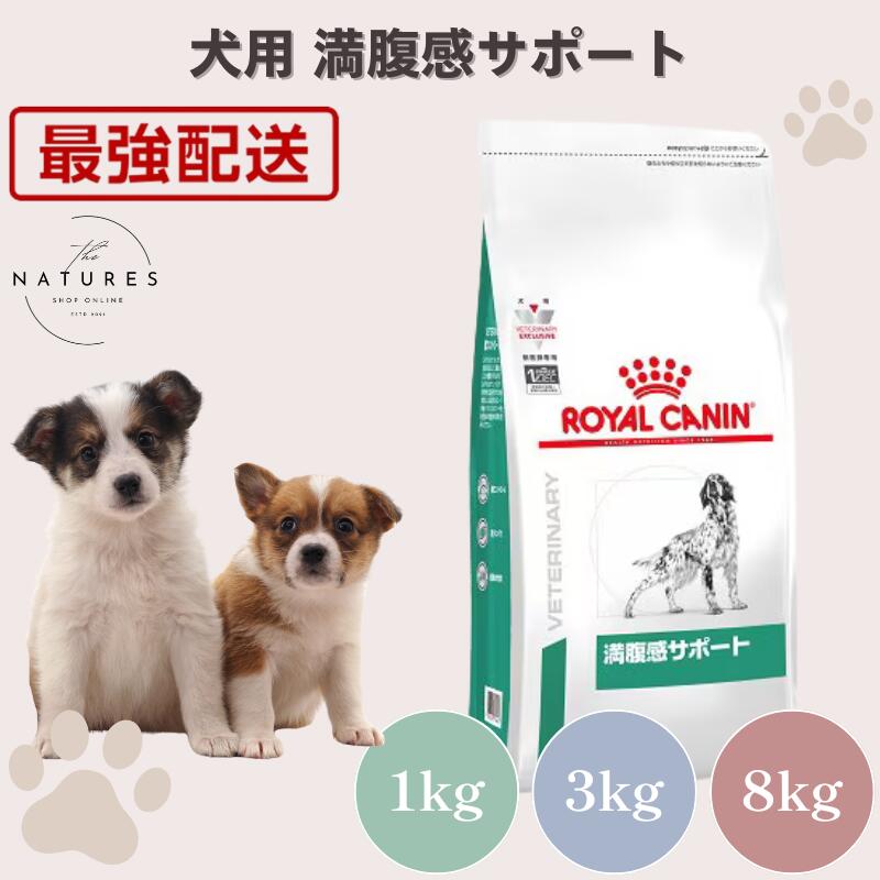 【ホスピタル証明不必要 店卸し資産極限点】ロイヤル聖地 犬 腹一杯感受け支える 1kg 3kg 8kg