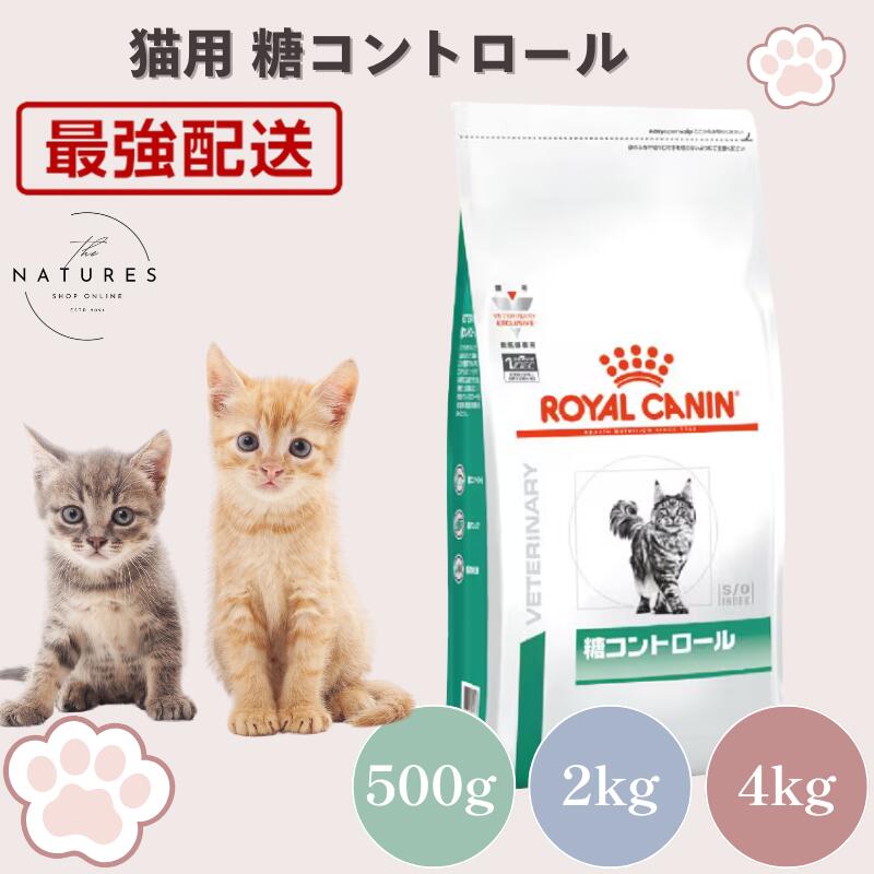 楽天市場】【病院認証不要 在庫限り】ロイヤルカナン 猫 ニュータード