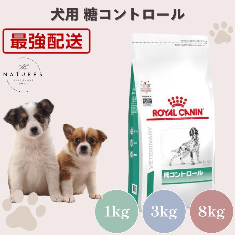 【ホスピタル証明不必要 店卸し資産極限点】ロイヤル聖地 犬 糖抑えつける 1kg 3kg 8kg