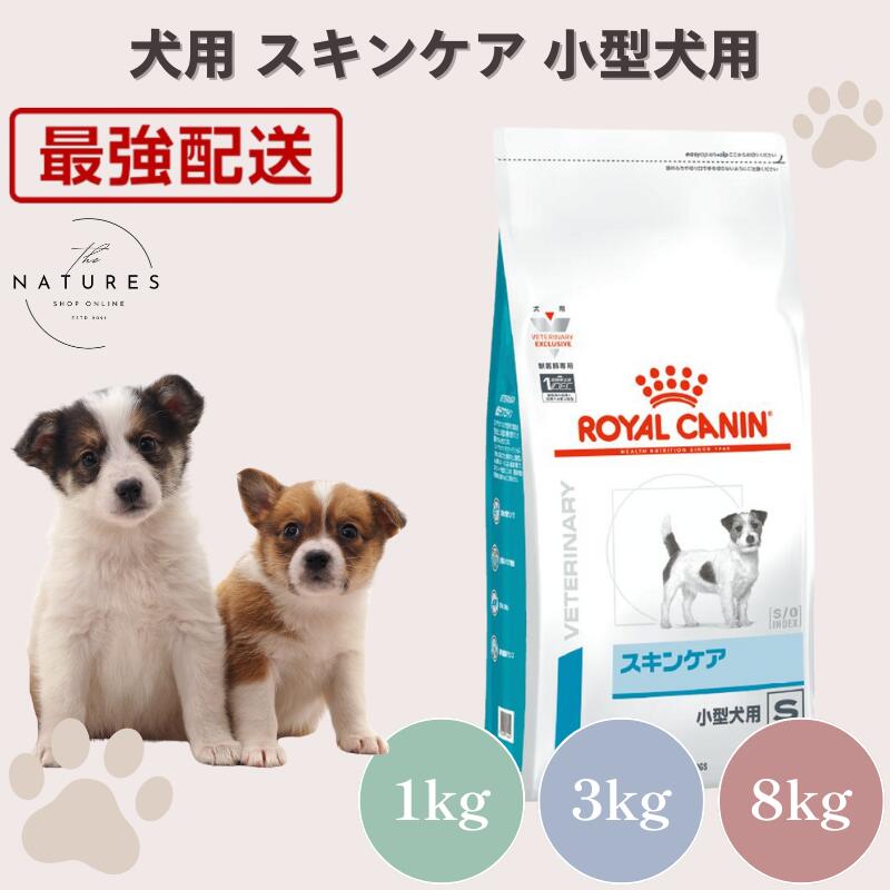 【ホスピタル公証不必要 店卸し資産区分け】ロイヤル聖地 犬 素はだ世話をする 小型犬用 1kg 3kg 8kg