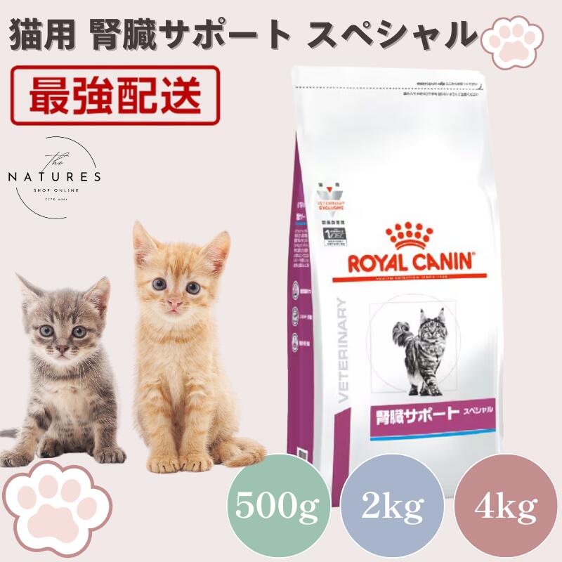【ホスピタル公許不必要 店卸し資産境界線】ロイヤル聖地 猫 腎の臓受け支える 特別 500g 2kg 4kg