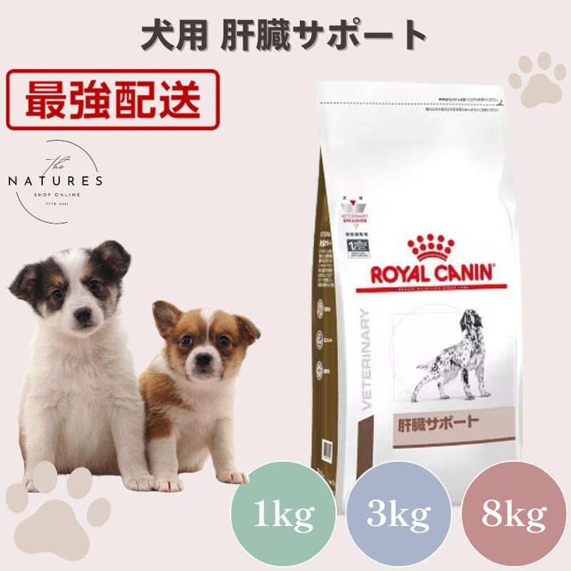 【ホスピタル証明不必要 店卸し資産極限点】ロイヤル聖地 犬 生き胆受け支える 1kg 3kg 8kg