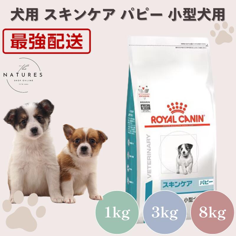 【ホスピタル公証不必要 店卸し資産区分け】 ロイヤル聖地 犬 素はだ世話をする パピー 小型犬用 S 1kg 3kg 8kg