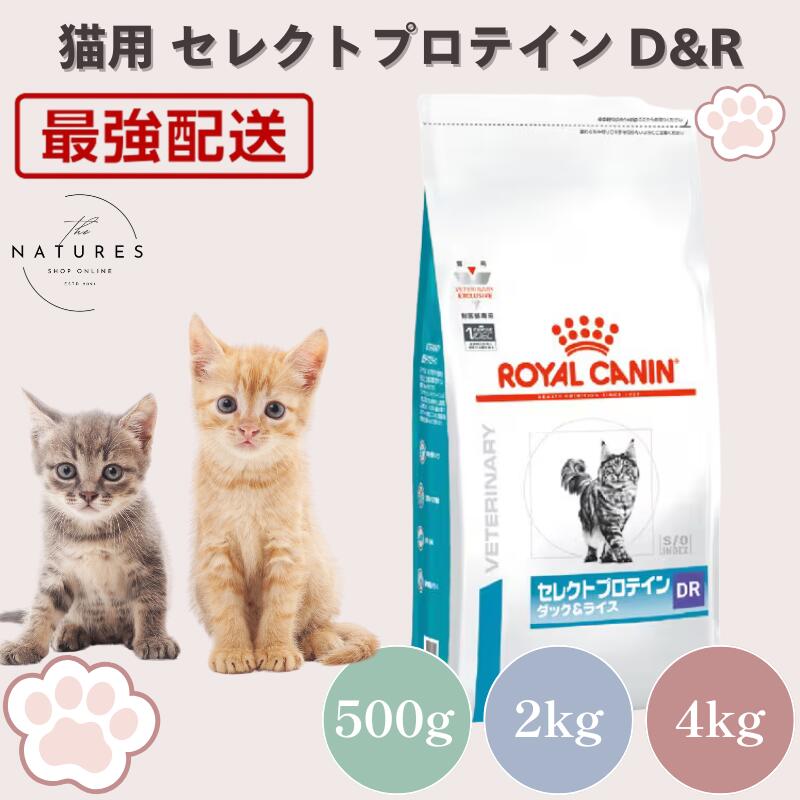 【ホスピタル証明不必要 店卸し資産極限点】ロイヤル聖地 猫 より分けるたんぱく質 ダックライス 素っ気ない 500g 2kg 4kg