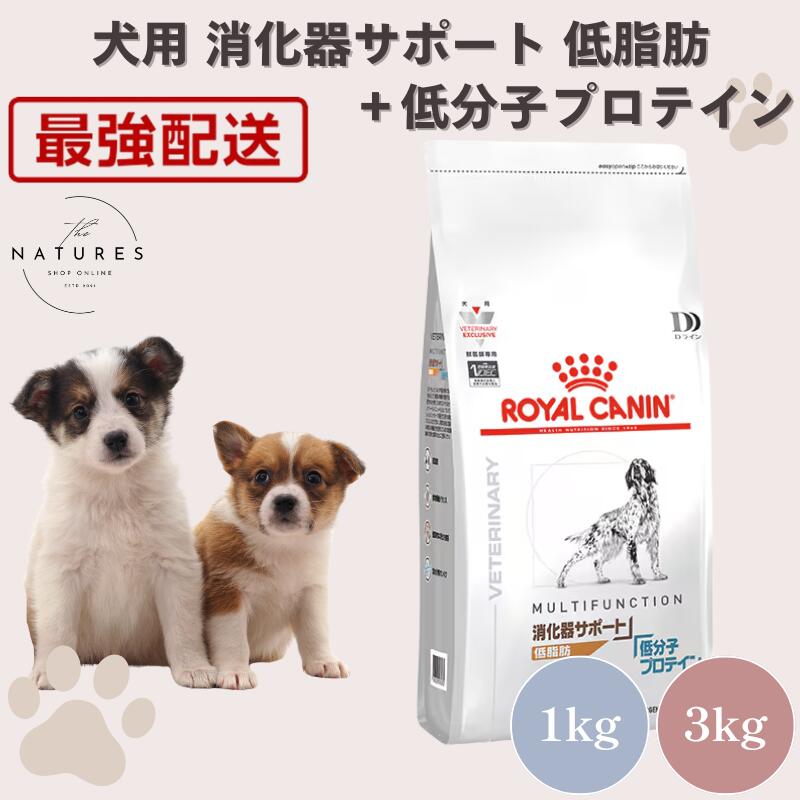 【ホスピタル公証不必要 店卸し資産極限点】 ロイヤル聖地 犬 消化器受け支える低脂肪組織 + 低分子たんぱく質 1kg 3kg