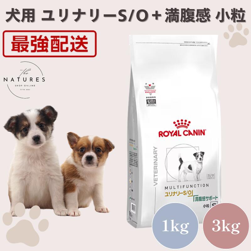 【ホスピタル公証不必要 店卸し資産極限点】 ロイヤル聖地 犬 ユリナリーS/O + 腹一杯感受け支える 微粒子 1kg 3kg