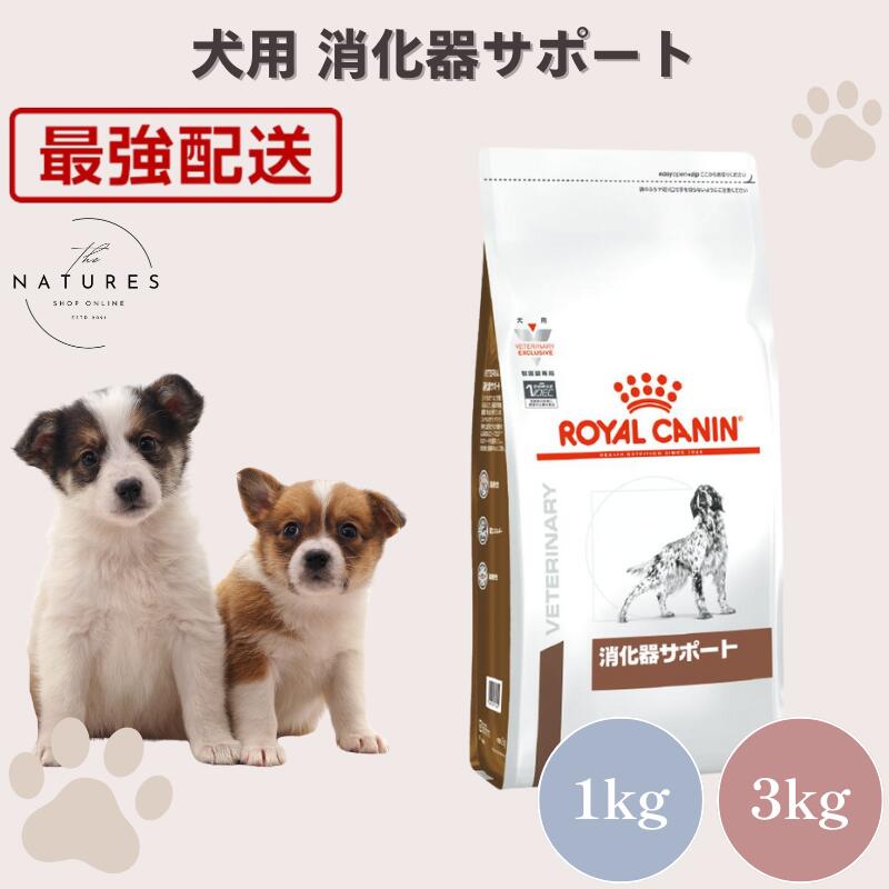 【ホスピタル公証不必要 店卸し資産極限点】 ロイヤル聖地 犬 消化器受け支える 1kg 3kg
