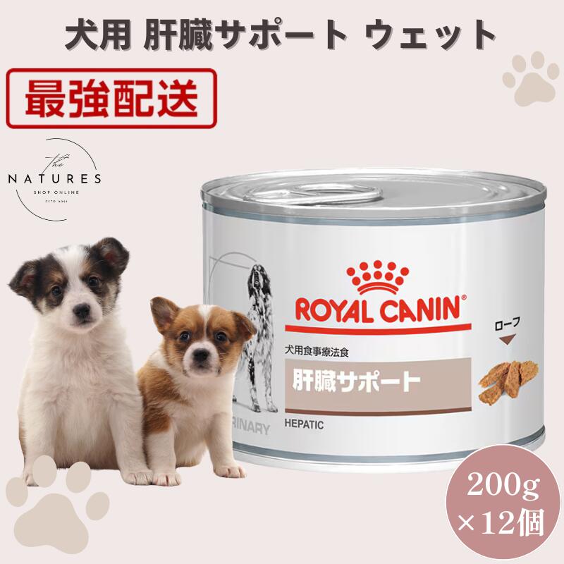 【病院認証不要 在庫限り】 ロイヤルカナン 犬 肝臓サポート ウェット 200g ×12缶