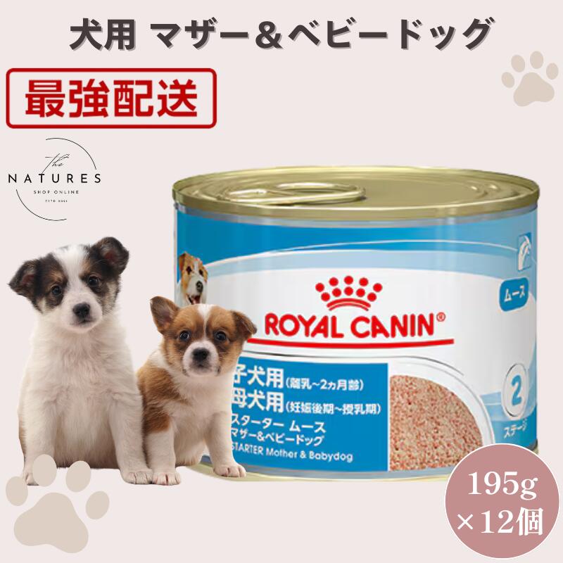 【病院認証不要 在庫限り】 ロイヤルカナン 犬 スターター ムース マザー＆ベビードッグ 195g×12個