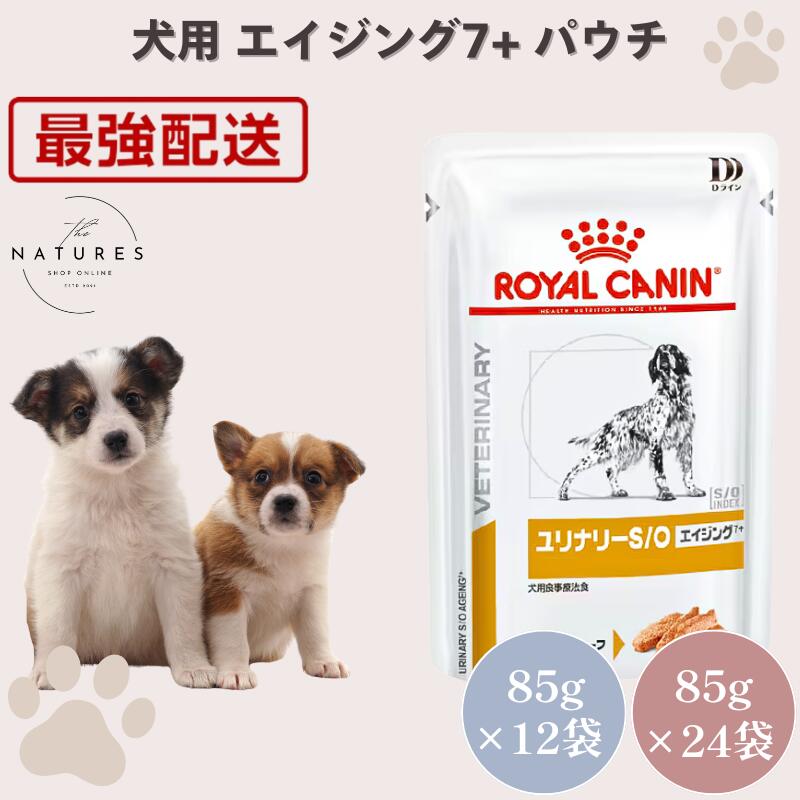 【病院認証不要 在庫限り】ロイヤルカナン 犬 ユリナリーS/O エイジング7+ ウェット パウチ 85g×12袋 / 85g×24袋