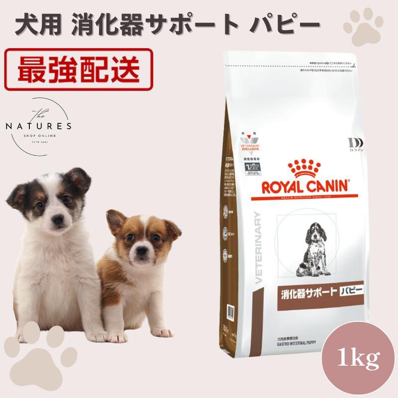 楽天市場】【病院認証不要 在庫限り】ロイヤルカナン 犬 消化器