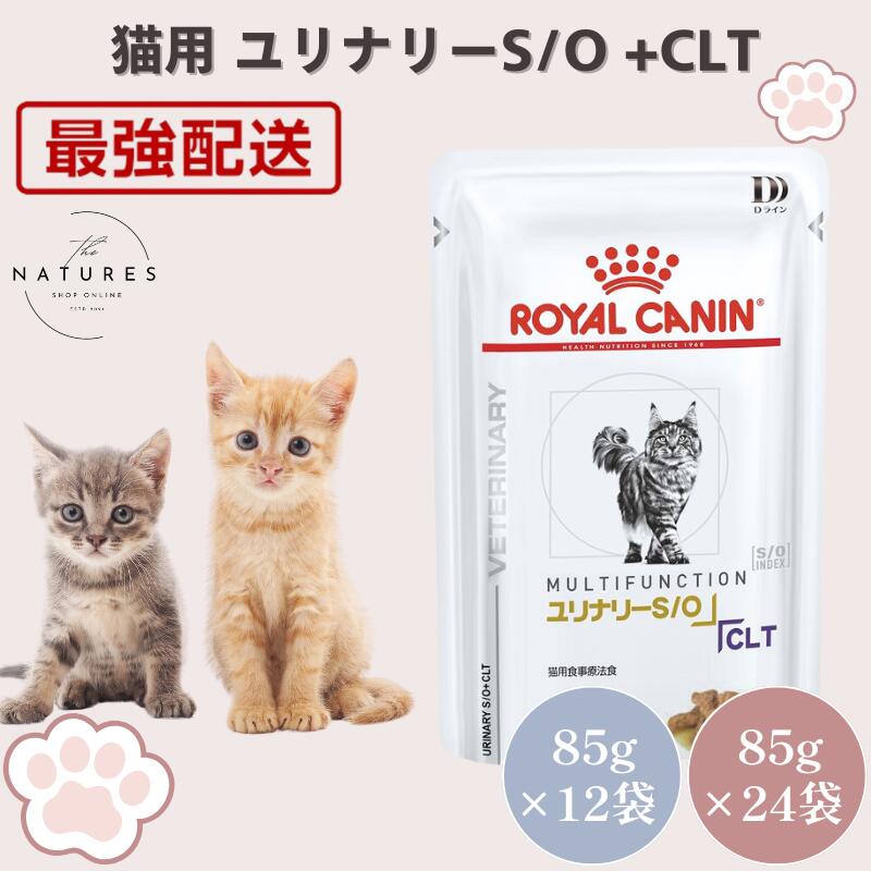 【ホスピタル公証不必要 店卸し資産極限点】ロイヤル聖地 猫 ユリナリーS/O +CLT 情の籠もった 合切袋 85g×12袋 85g×24袋